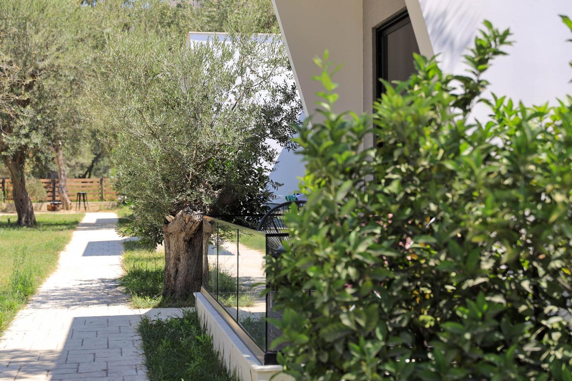 Luna Mare Boutique Seaside Borsh Kültér fotó
